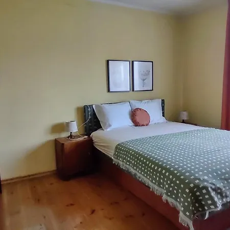 Mieszkanie Niedaleko Palacu Rybna Tarnowskie Gory