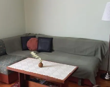 Mieszkanie Niedaleko Palacu Rybna