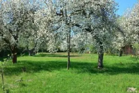 Διαμέρισμα Mieszkanie Niedaleko Palacu Rybna *