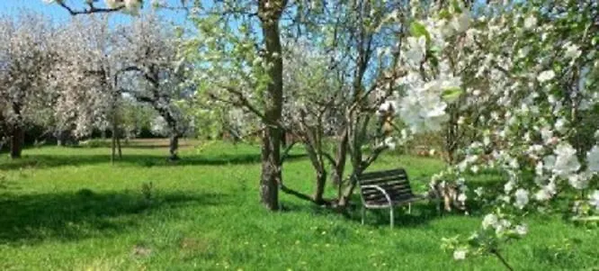 Apartman Mieszkanie Niedaleko Palacu Rybna *