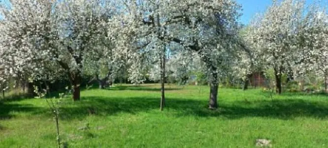 Apartman Mieszkanie Niedaleko Palacu Rybna *